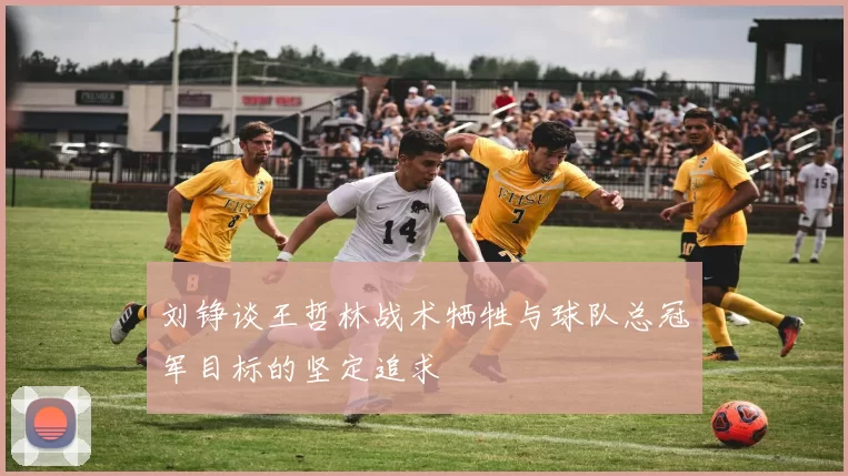 刘铮谈王哲林战术牺牲与球队总冠军目标的坚定追求